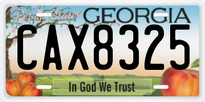 GA license plate CAX8325