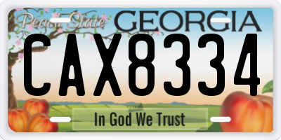 GA license plate CAX8334