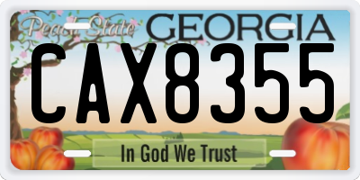 GA license plate CAX8355
