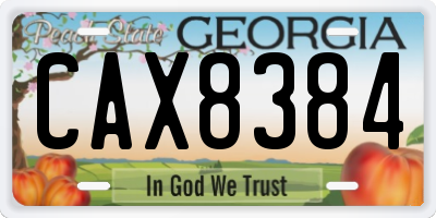 GA license plate CAX8384