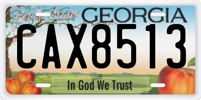 GA license plate CAX8513