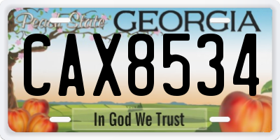 GA license plate CAX8534