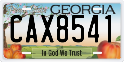 GA license plate CAX8541