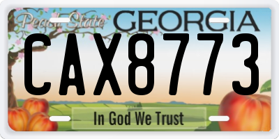 GA license plate CAX8773