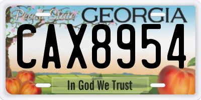 GA license plate CAX8954