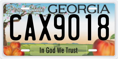 GA license plate CAX9018
