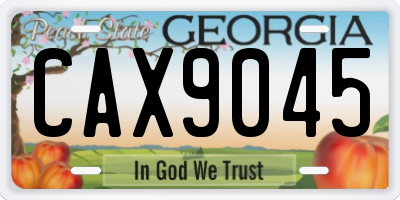 GA license plate CAX9045