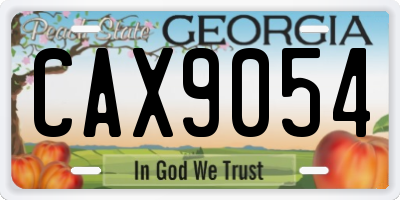 GA license plate CAX9054