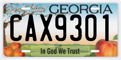 GA license plate CAX9301