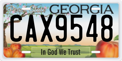 GA license plate CAX9548
