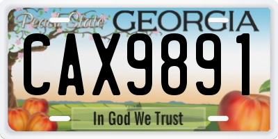 GA license plate CAX9891