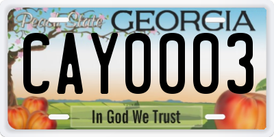 GA license plate CAY0003