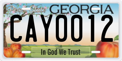 GA license plate CAY0012