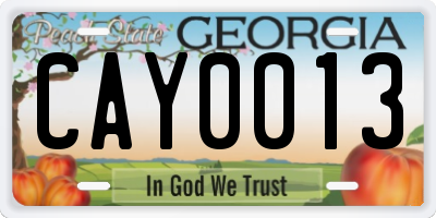 GA license plate CAY0013