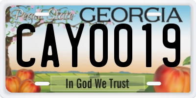 GA license plate CAY0019
