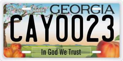GA license plate CAY0023