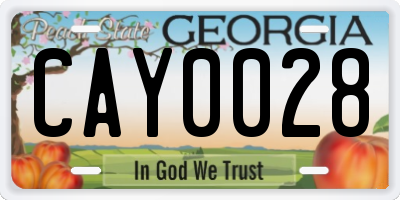 GA license plate CAY0028