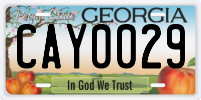 GA license plate CAY0029