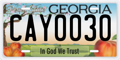 GA license plate CAY0030
