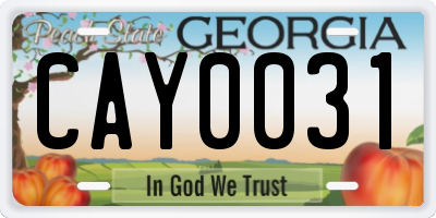 GA license plate CAY0031