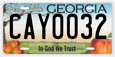 GA license plate CAY0032