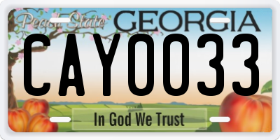 GA license plate CAY0033