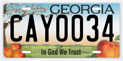 GA license plate CAY0034