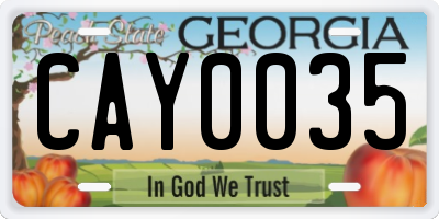 GA license plate CAY0035