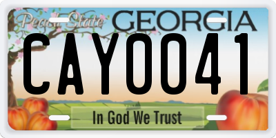 GA license plate CAY0041