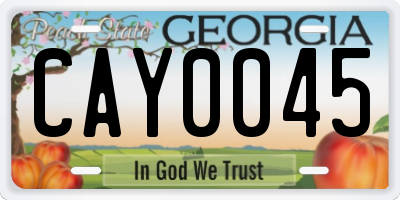 GA license plate CAY0045