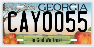 GA license plate CAY0055
