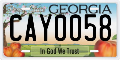 GA license plate CAY0058