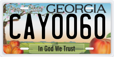 GA license plate CAY0060