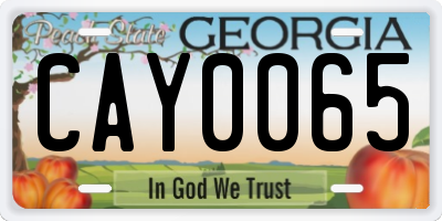 GA license plate CAY0065