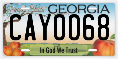 GA license plate CAY0068