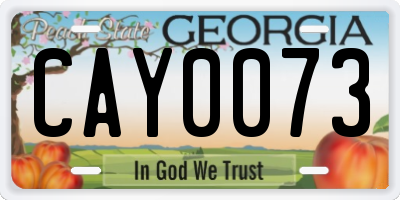 GA license plate CAY0073