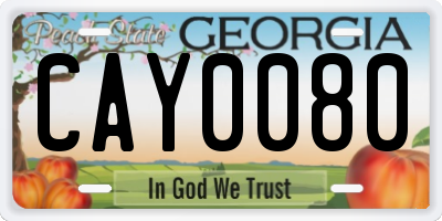 GA license plate CAY0080