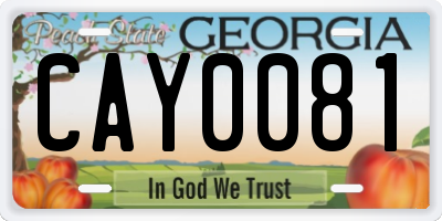 GA license plate CAY0081