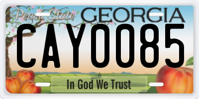 GA license plate CAY0085