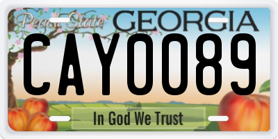 GA license plate CAY0089
