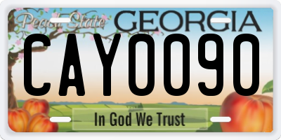 GA license plate CAY0090