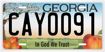 GA license plate CAY0091