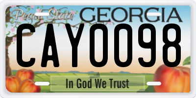 GA license plate CAY0098