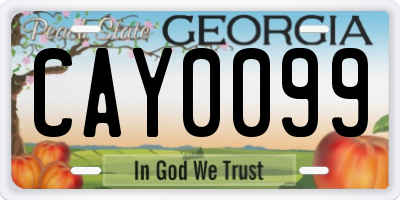GA license plate CAY0099