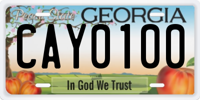 GA license plate CAY0100