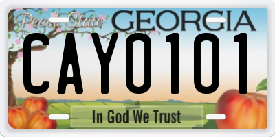 GA license plate CAY0101