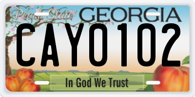 GA license plate CAY0102