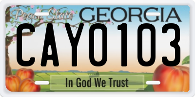 GA license plate CAY0103