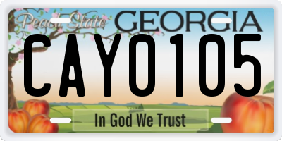 GA license plate CAY0105