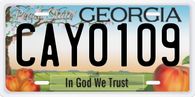 GA license plate CAY0109